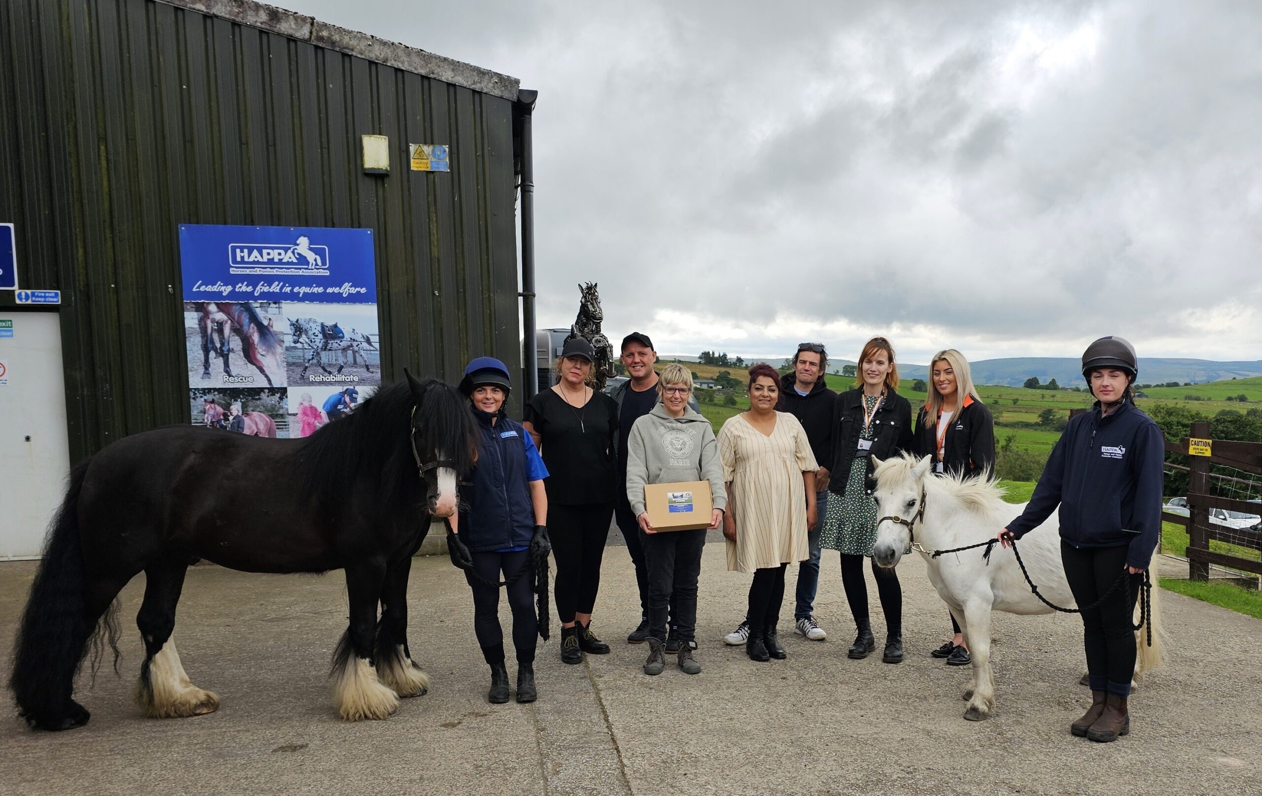 Acorn become corporate sponsors of two HAPPA horses - Acorn